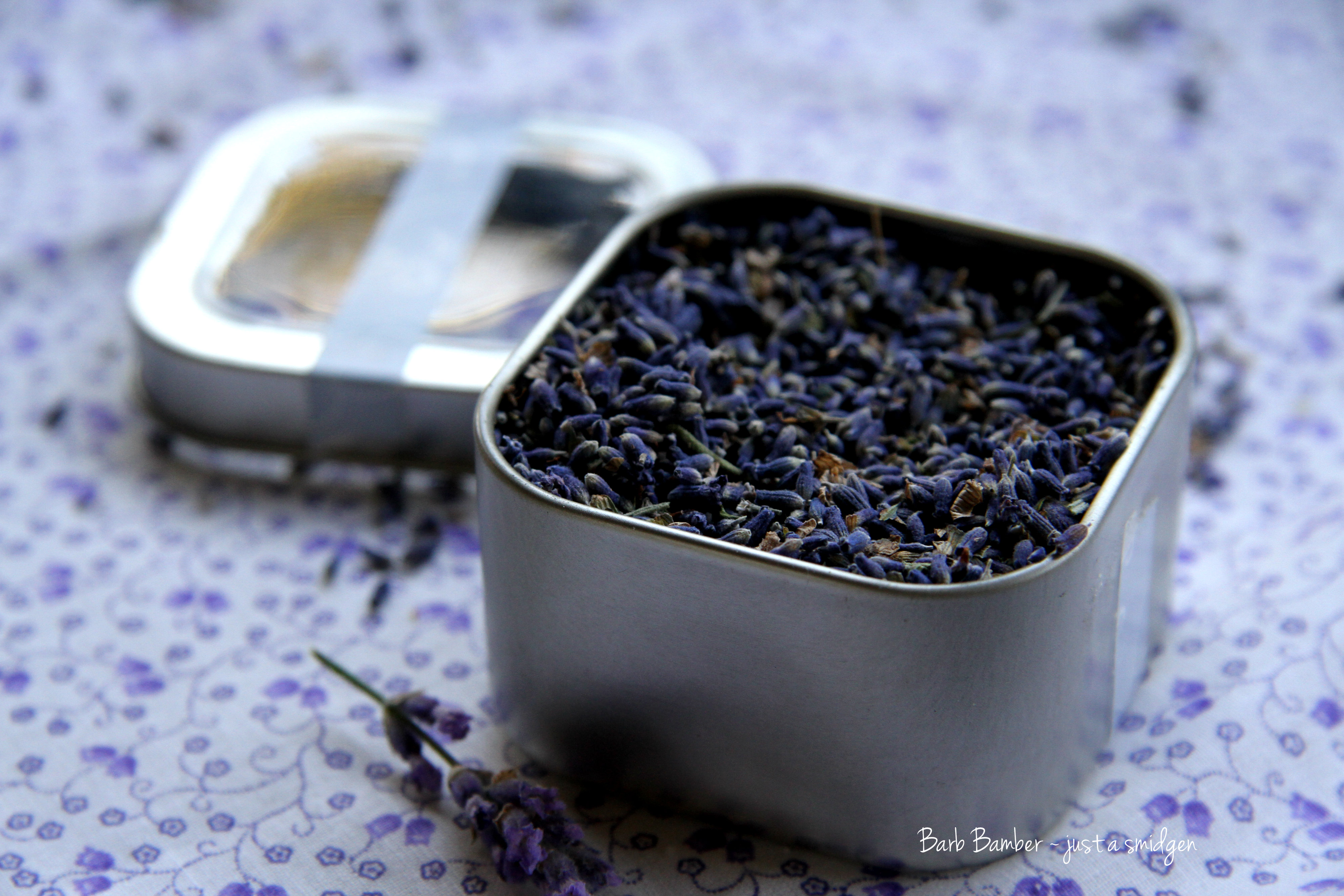 Culinary Lavender